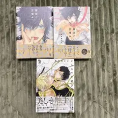 bl漫画3冊セット