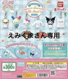 サンリオキャラクターズ　えみくまさん専用