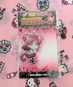 プリキュア 大阪限定 カワいろパレット アクキー 夢原のぞみ