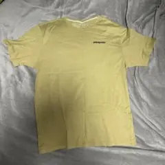 Patagonia コットンTシャツ ブラウン