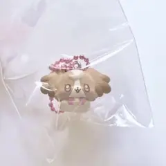 ぷちきゅあマスコットチョコスナック こむぎ