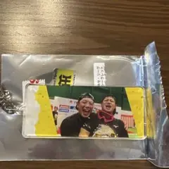 阪神タイガース　記念撮影　シークレット優勝アクリルキーホルダー　全20種