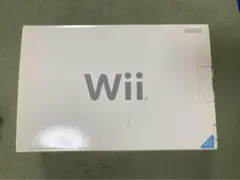 Nintendo Wii 本体 追加ケーブル、コントローラー付き 任天堂