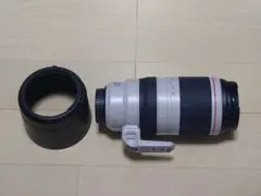 2025年最新】canon 100-400 iiの人気アイテム - メルカリ