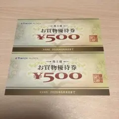 【匿名配送】ヤマダホールディングス お買物優待券 500円 2枚セット