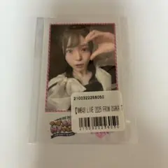 2026年最新】NMB48 チェキの人気アイテム - メルカリ