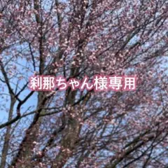 刹那ちゃん様専用　シルバー925 チェーンブレスレット