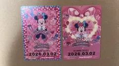 リゾートライン フリーきっぷ ミニーの日 ミニーのファンダーランド