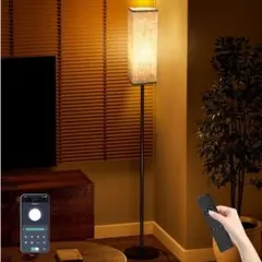 Item thumbnail for item 96e1a942-0daf-4ae2-9285-33c077bb02cd