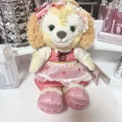 上海ディズニー クッキーアン ぬいぐるみ 花のバッグ付き - メルカリ