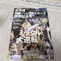 2016 北海道日本ハムファイターズ 雑誌 大谷翔平 日ハム OHTANI