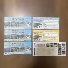 富士急ハイランド　フリーパス　３枚　ほか株主優待券セットのサムネイル