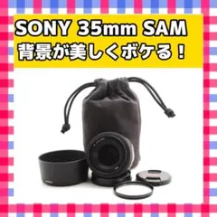 Item thumbnail for item c2156b9d-482f-48da-9350-f22bd84de270