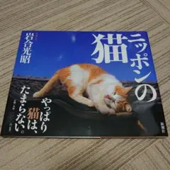 ニッポンの猫