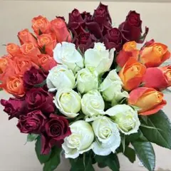 るっち様 リクエスト 3点 まとめ商品