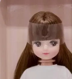 2026年最新】リカちゃんキャッスル キラちゃんの人気アイテム - メルカリ