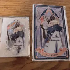 原神 霜痕与権焔シリーズ ファデュイ執行官 淑女 シニョーラ セット