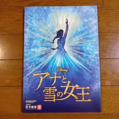 アナと雪の女王 パンフレット 25周年記念