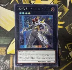 励輝士 ヴェルズビュート　シク　シークレット　QCDB ②