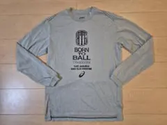 Item thumbnail for item 76a66cf8-11da-473f-b0be-c891e24f4554