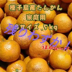 種子島産たんかんSサイズ★家庭用５kg