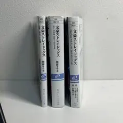 文スト 小説3冊 セット