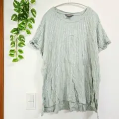 リブ Tシャツ ライトグリーン XL 半袖 くすみカラー 春