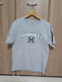 Hanes University of Hawaii ハワイ大学 Tシャツ M