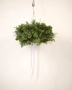 Item thumbnail for item 69f36c61-b21e-450c-8397-edabcb478f64