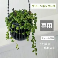 くーみん様専用 グリーンネックレス 吊り下げポット黒と白