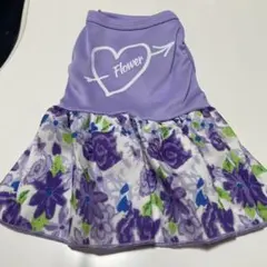 Item thumbnail for item 2d88bfc2-e2b8-47c1-9c1f-32d62cf589bc