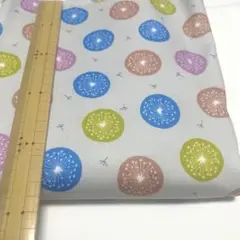 オックスたんぽぽ特別価格