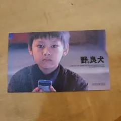 映画『野良犬』トレーディングカード　SEVENTEEN　JUN