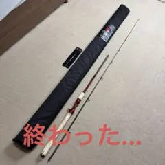 新品未使用デジーノレーベン10周年限定 DLR-C71MH+RST3S LTD - メルカリ