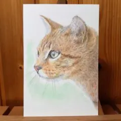 色鉛筆画　手描き　猫
