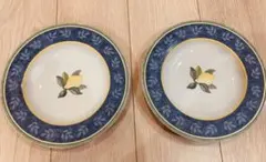 villeroy&boch 皿　2枚セット