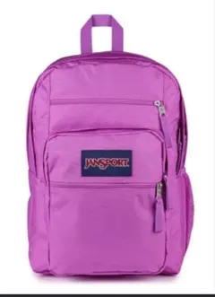 ジャンスポーツ JANSPORT リュック バックパック パープル 紫 大容量のサムネイル