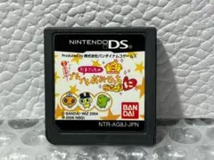 ニンテンドーDS プチプチおみせっち ごひーきに M0217n