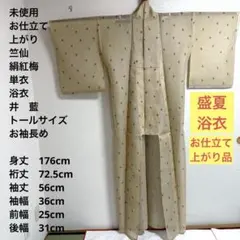 2026年最新】絹紅梅 竺仙の人気アイテム - メルカリ