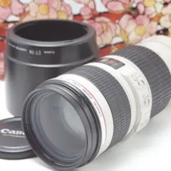2026年最新】ef70 200mm f4l usm 中古の人気アイテム - メルカリ
