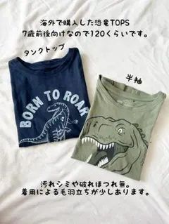 恐竜プリント Tシャツ タンクトップ120cm 2点セット