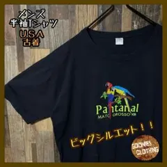 刺繍 オウム 鳥 ゆるだぼ XL メンズ ブラック USA古着 半袖 Tシャツ