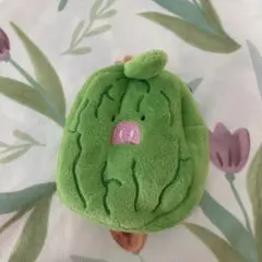 ゴーヤ ぬいぐるみ コインケース