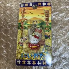 新品・未開封ご当地キティ　マスコットキーホルダー　ルレクチェ新潟限定　6個セット 新潟限定 ご当地 キティ ルレクチェ ぬいぐるみマスコット