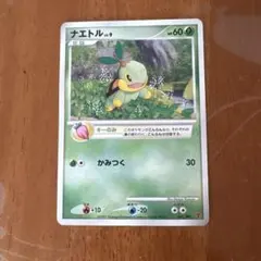 ナエトル P 第5期プレイヤーズけいけんち プロモ - メルカリ