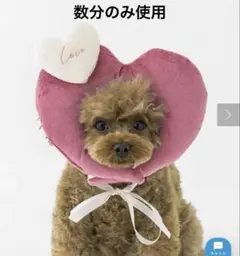 3COINS ハート顔ハメ　（レッド） 1度短時間使用