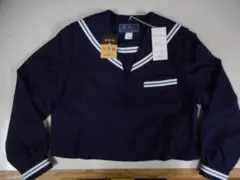 Item thumbnail for item d3afe3a7-1d82-46d1-adb5-2d1167aaedd3