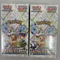 ポケモンカードゲーム テラスタルフェスex 未開封シュリンク付×2BOX