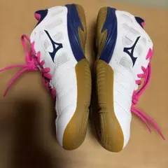 Item thumbnail for item 6249b182-13e7-4014-99b5-1f8ff09e5dd0