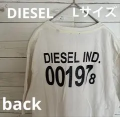 DIESELディーゼルTシャツ Lサイズ ビックロゴ